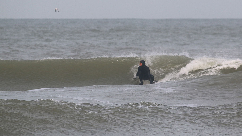 golfsurfen nederland