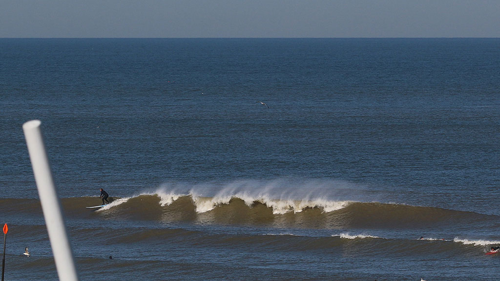 golfsurfen nederland