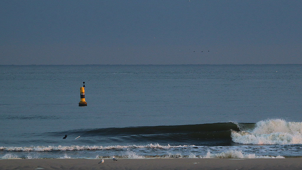 golfsurfen nederland