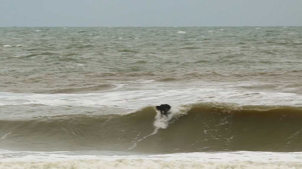 golfsurfen nederland