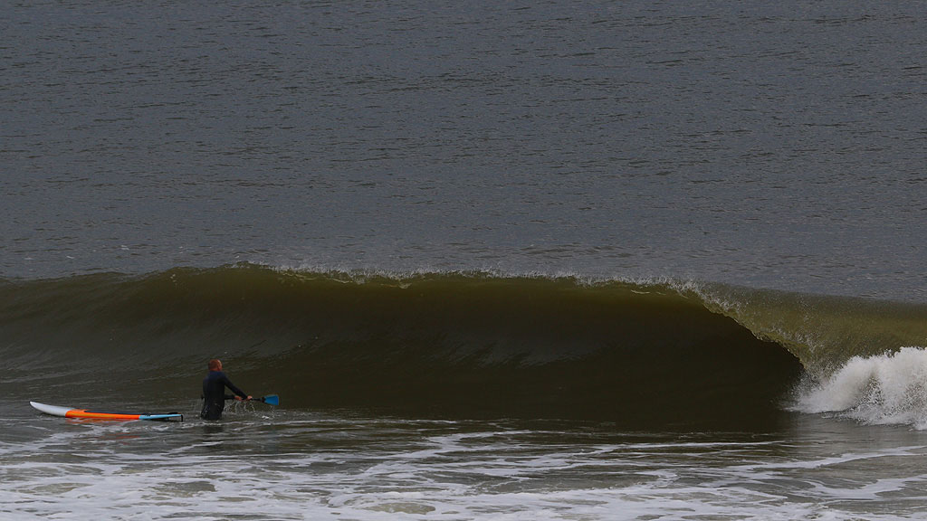 golfsurfen nederland