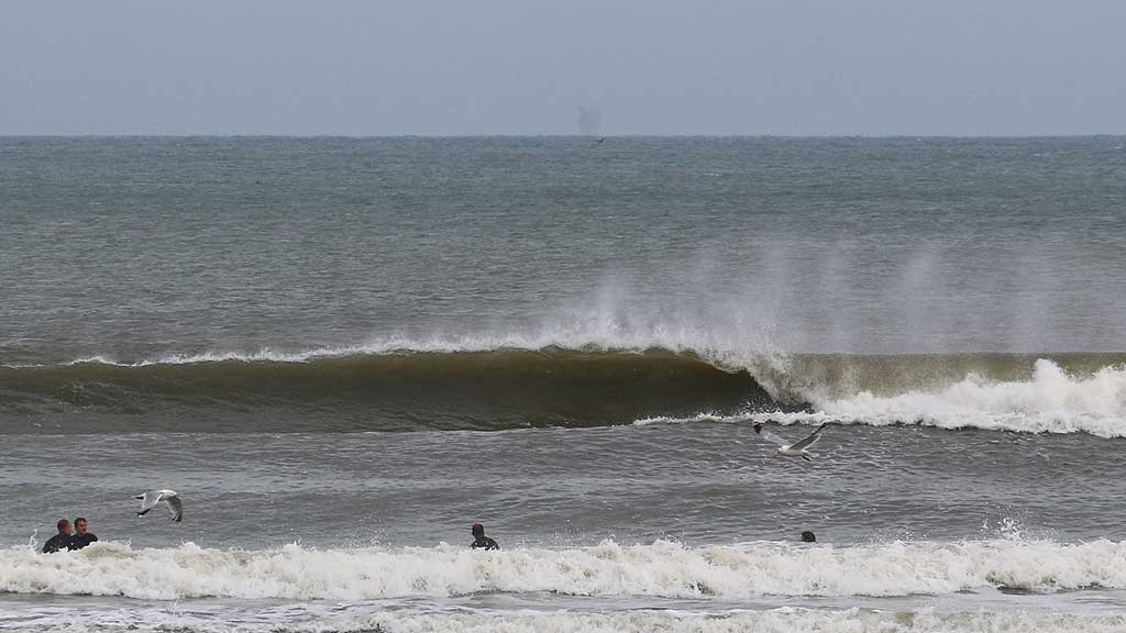 golfsurfen nederland
