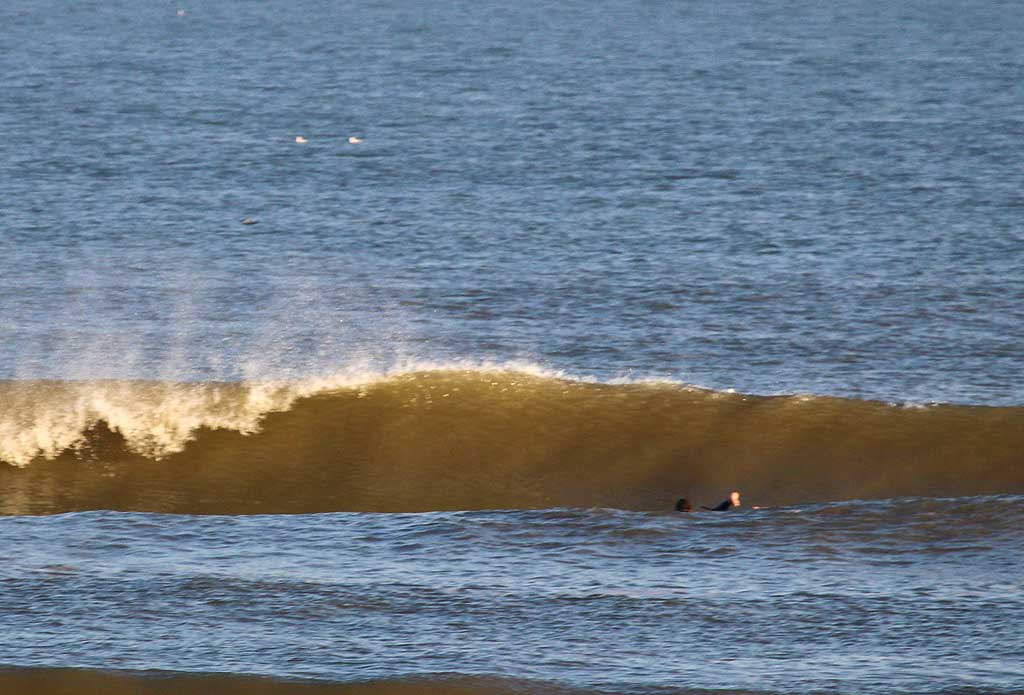 golfsurfen nederland