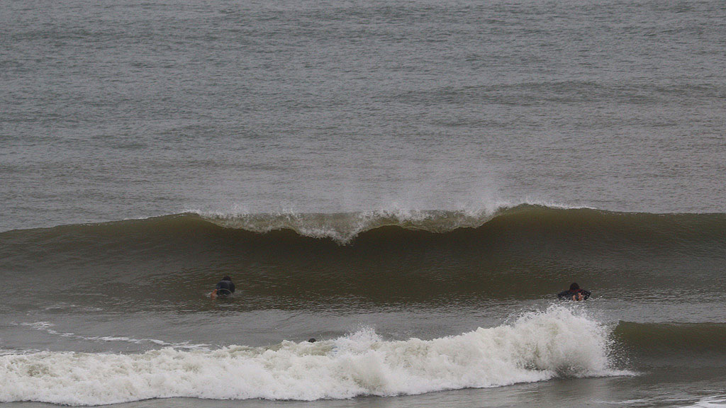 golfsurfen nederland