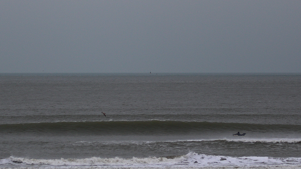 golfsurfen nederland