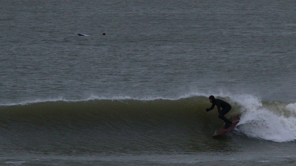 golfsurfen nederland