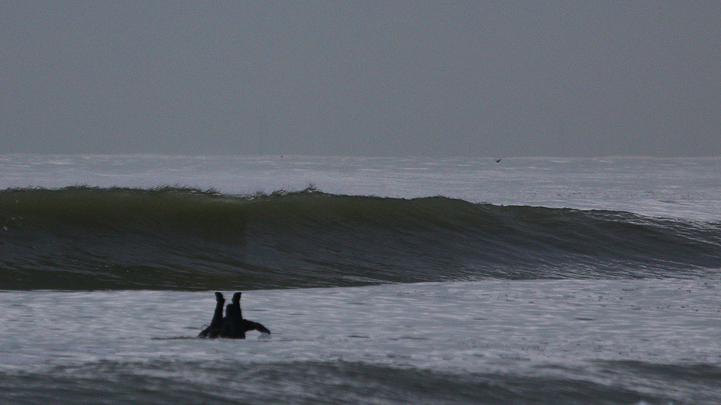 golfsurfen nederland