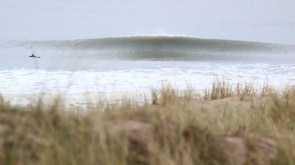 golfsurfen nederland